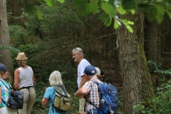 Wanderung_20250720_00042