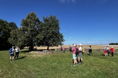 Wanderung_20250817_00004