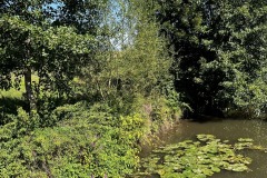 Wanderung_20250817_00010