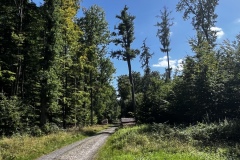 Wanderung_20250817_00024