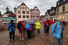 Wanderung_20250921_00004