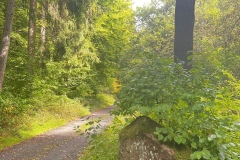 Wanderung_20250921_00008