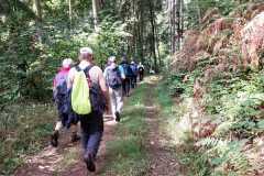 Wanderung_20250921_00030