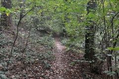 Wanderung_20251012_00003