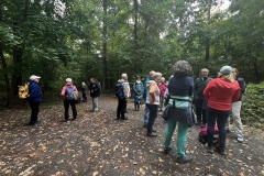 Wanderung_20251012_00006