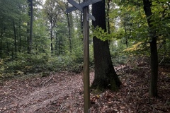 Wanderung_20251012_00007