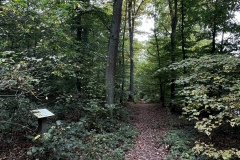 Wanderung_20251012_00010