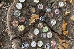 Wanderung_20251012_00011