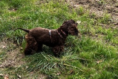 Wanderung_20251012_00013