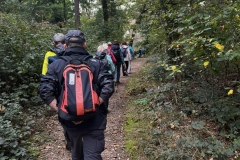 Wanderung_20251012_00016