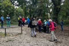 Wanderung_20251012_00018