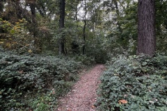 Wanderung_20251012_00022