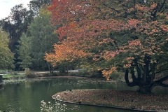 Wanderung_20251012_00025