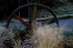 Wanderung_20251229_00007