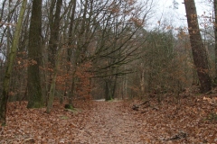 Wanderung_20251229_00014