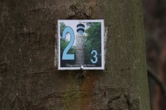 Wanderung_20251229_00015