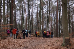 Wanderung_20251229_00017.jpg