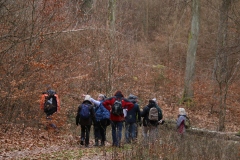 Wanderung_20251229_00020