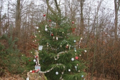 Wanderung_20251229_00024