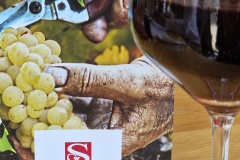 Wanderung_20260322_00002