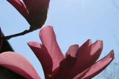 Wanderung_20260322_00018