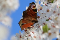 Wanderung_20260322_00020