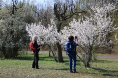 Wanderung_20260322_00021