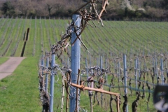 Wanderung_20260322_00022