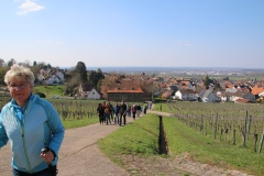 Wanderung_20260322_00023