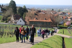 Wanderung_20260322_00024