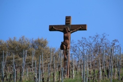 Wanderung_20260322_00025