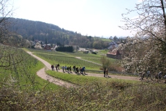 Wanderung_20260322_00026