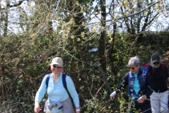 Wanderung_20260322_00027