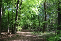 Wanderung_20260426_00007