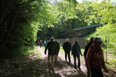 Wanderung_20260426_00008