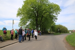 Wanderung_20260426_00032