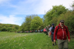 Wanderung_20260426_00037