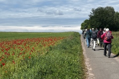 Wanderung_20260517_00005
