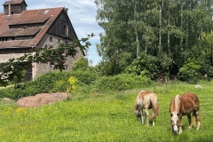 Wanderung_20260517_00011