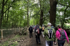 Wanderung_20260517_00013