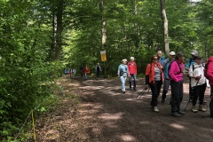 Wanderung_20260517_00015