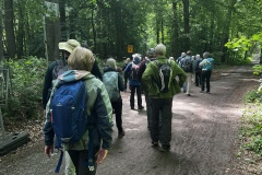 Wanderung_20260517_00016