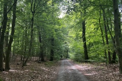 Wanderung_20260517_00017