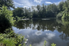 Wanderung_20260517_00019