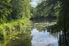 Wanderung_20260517_00020