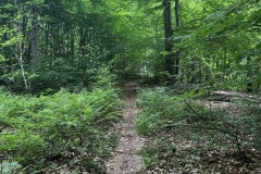 Wanderung_20260517_00021
