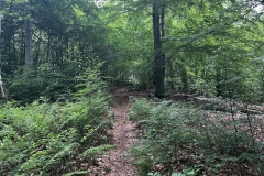 Wanderung_20260517_00022
