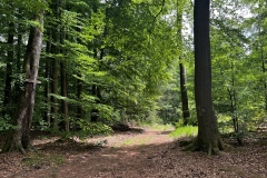 Wanderung_20260517_00026