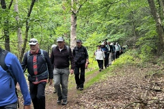 Wanderung_20260517_00027