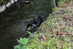 Wanderung_20260517_00029